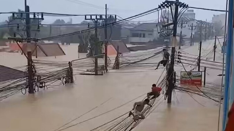 Кадр из видео