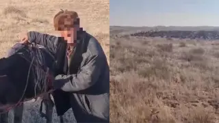 Без еды и сна: пастух с 700 овцами три дня блуждал по степи в густом тумане