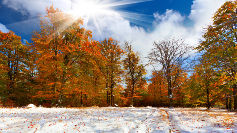 Фото:depositphotos.com