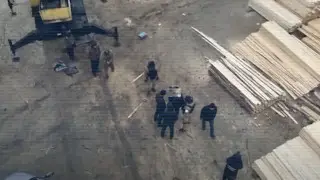 “Лесную мафию“ разоблачили на севере Казахстана, задержаны 20 человек