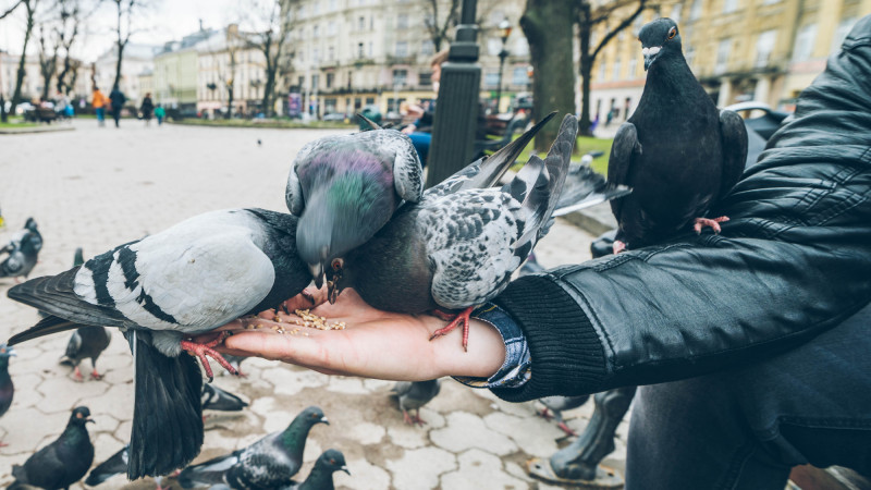 Фото:depositphotos.com