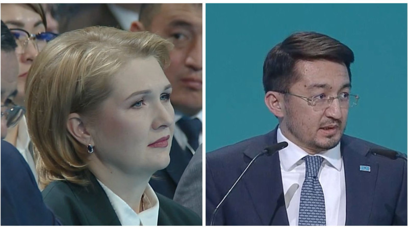 Кадры из видео. Коллаж Tengrinews.kz