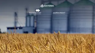 Экспортно-кредитное агентство и АКК запустили программу поддержки экспортеров