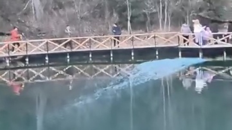 Кадр из видео