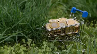 Триллион тенге в бюджет: Алматинская область поставила рекорд