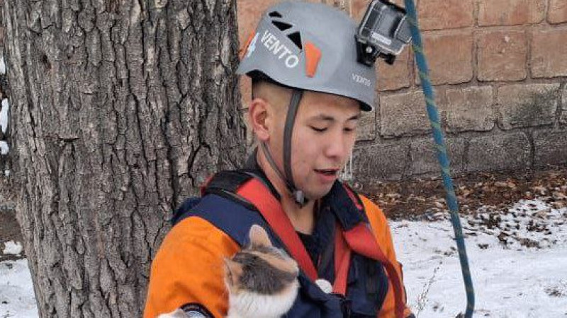 Фото пресс-службы МЧС