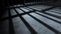 Полиция Жамбылской области расследует жестокое убийство женщины
