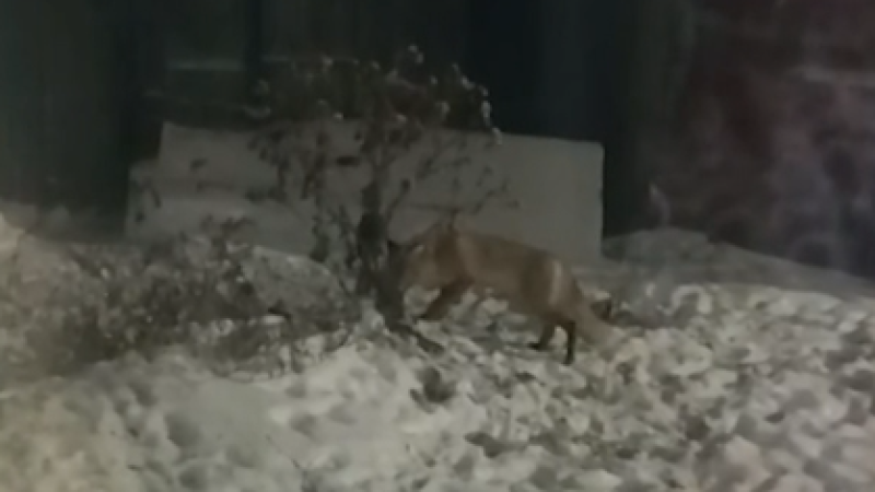 Кадр из видео: КТК