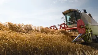 В Павлодарской области назвали ключевые направления развития агросектора