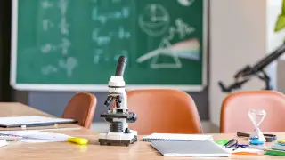 Объединение химии, физики и биологии в один школьный предмет: министр объявила решение