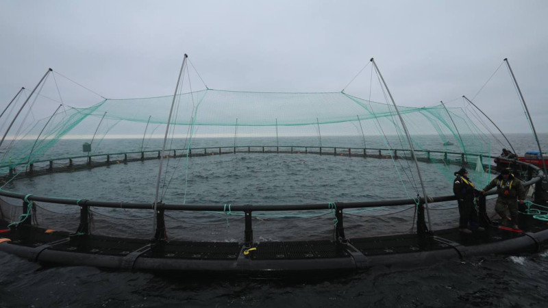 Фото: пресс-служба акима Мангистауской области