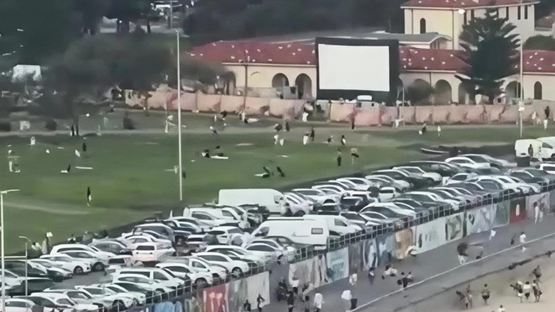 Кадр из видео