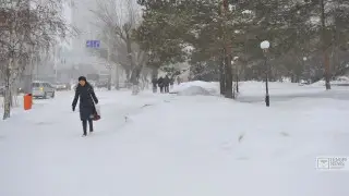 Метель, снег, сильный ветер: какой будет погода в Казахстане 16 декабря