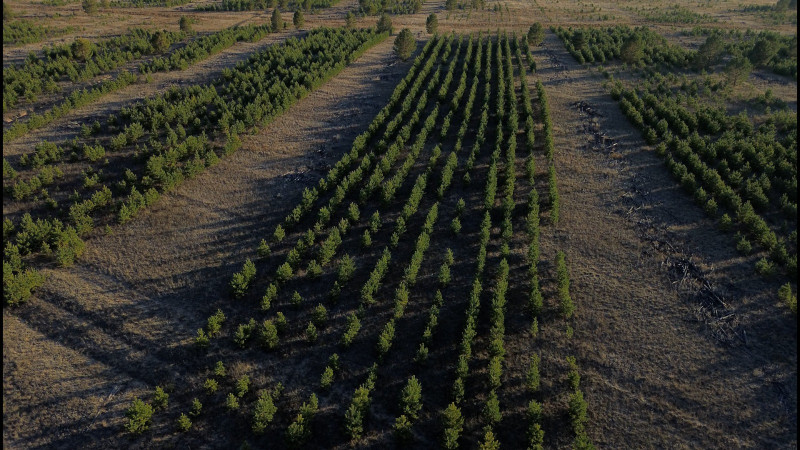 Фото: БФ Halyk