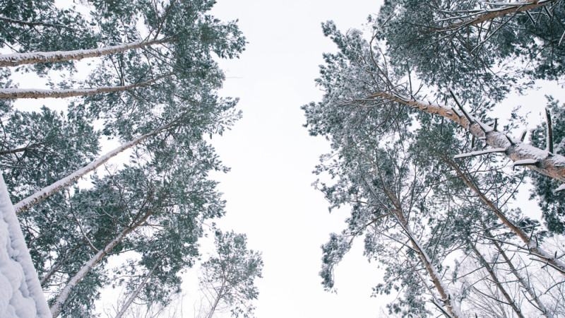 Фото:depositphotos.com