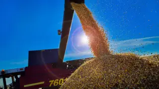 Чего достигла Павлодарская область за 11 месяцев 2025 года - tengrinews.kz