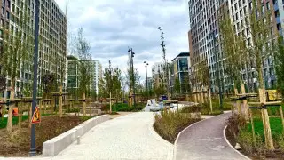 Фото до и после: в Астане за год посадили больше миллиона зелёных насаждений