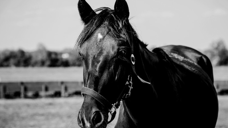 Фото: VadimVasenin/depositphotos.com