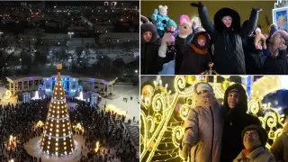 Главную новогоднюю ёлку зажгли в СКО