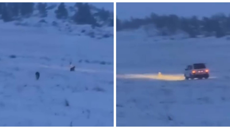 Кадры из видео