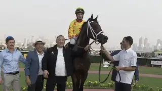 Новый Кабирхан: скакун Арлан принес казахстанцу миллионы в Дубае