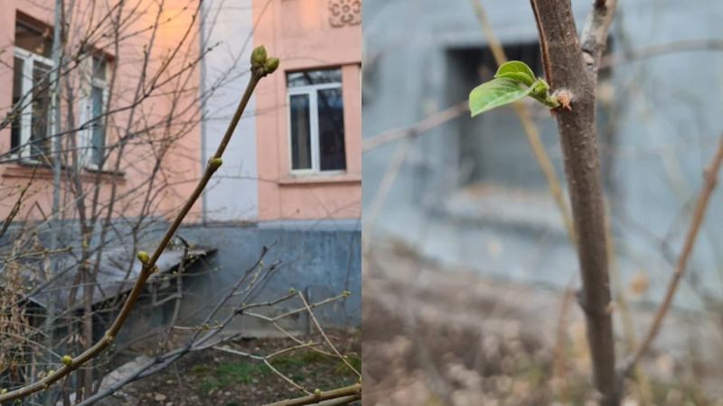 Фото © Tengrinews.kz