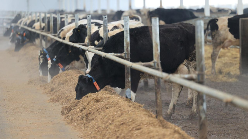 Фото: акимат Костанайской области.