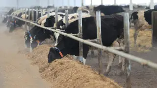 Аким Костанайской области подвёл итоги развития сёл