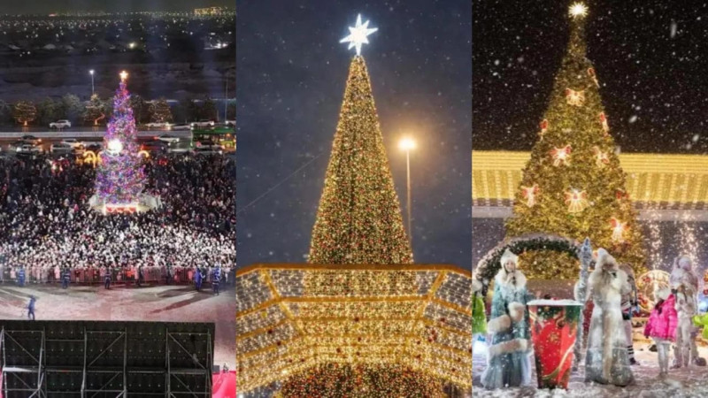 Фото: УВП города Шымкента, пресс-служба акимата Алматы, Надежда Лыкова