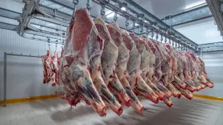 В Казахстане продлили ограничения на вывоз говядины