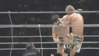 “Ударил в глаз пальцем“: досрочно закончился бой Казахстан - Япония