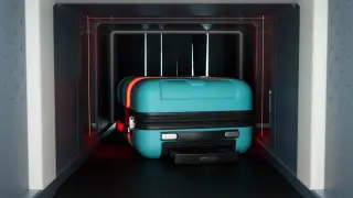 Гренландский тюлень и миллионы в чемоданах: что запрещено ввозить в Казахстан