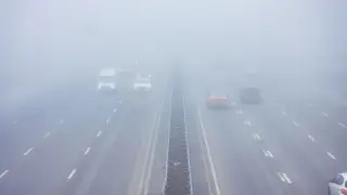 Из-за плохой видимости в Жамбылской области закрыли участок автодороги