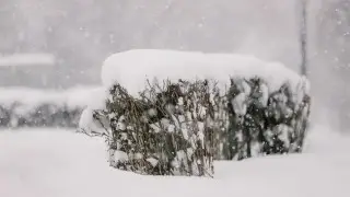 Осадки, туман, гололед: какой будет погода в Казахстане 2 января