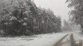 От тумана до гололёда. Штормовые предупреждения объявили в регионах