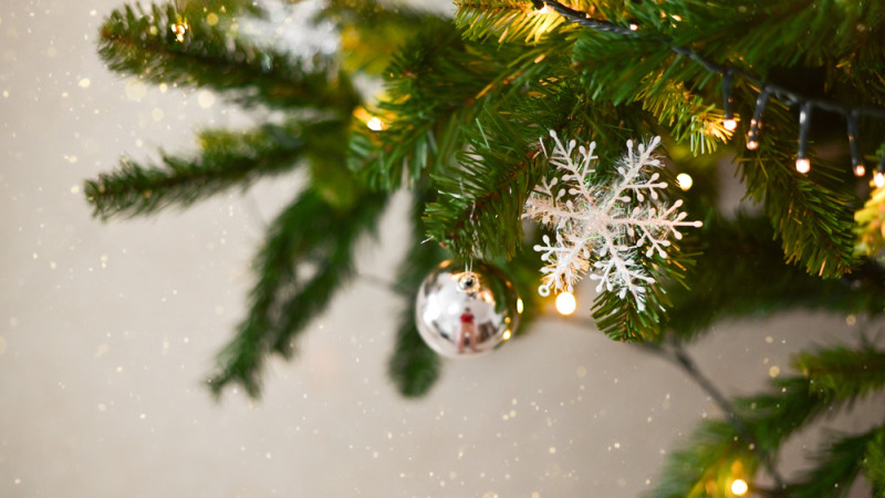 Фото:depositphotos.com