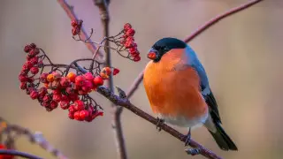 Где потеплеет, а где ударят морозы: погода в Казахстане на 3 дня