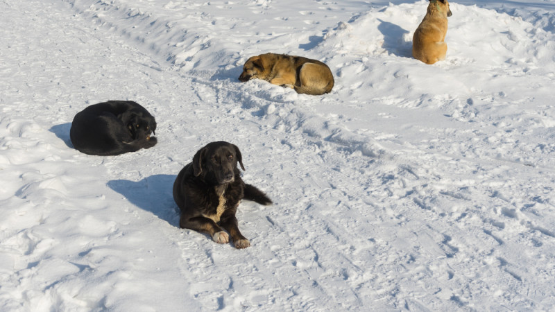 Фото:depositphotos.com