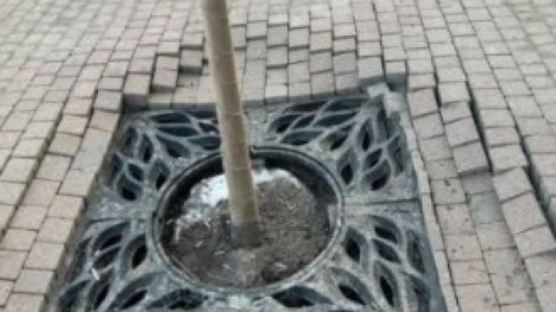 Фото из социальных сетей