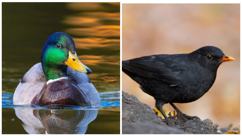 Фото:depositphotos.com/lada.kz