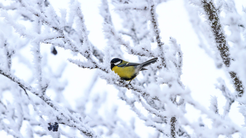 Фото:depositphotos.com