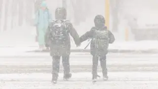 В Астане часть школьников второй смены отправили на дистанционку