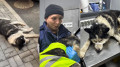 Отзывчивый таксист помог бездомной собаке в Алматы и прославился в Казнете