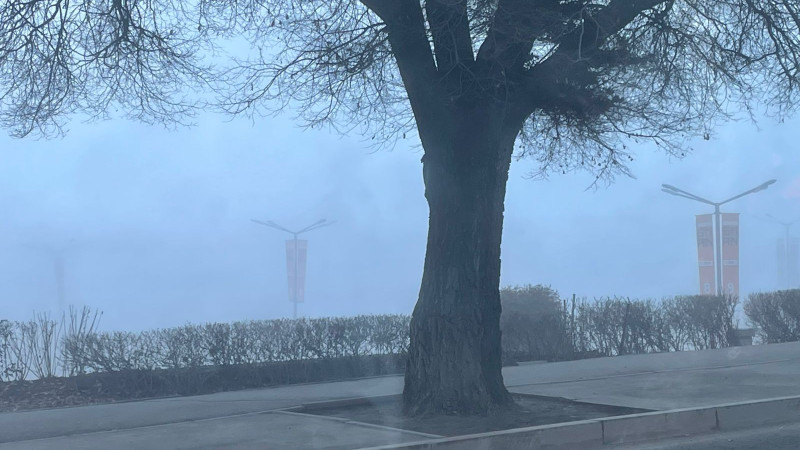 Фото читателей