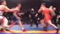 Массовой дракой закончился турнир по вольной борьбе: видео