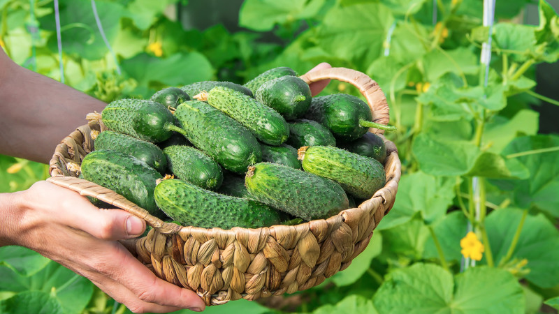 Фото:depositphotos.com