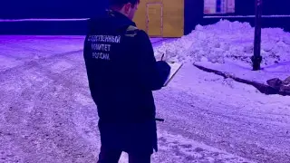 Двое граждан Казахстана найдены мёртвыми на заводе в России