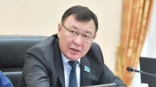 “Вы хотели, чтобы у нас люди ничем не занимались?“ —  сенатор о бизнесе госслужащих