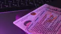 “Можно обжаловать“ — генерал МВД об аннулировании водительских удостоверений в Казахстане