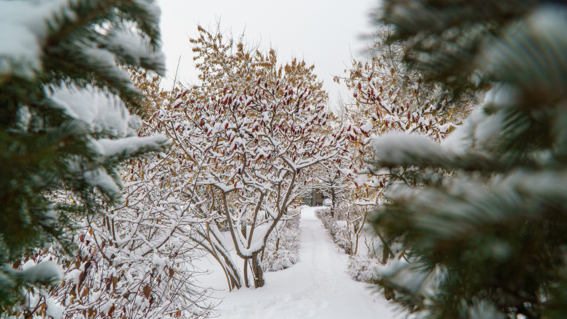 Фото © Tengrinews.kz / Болат Айтмолда